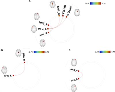 Neural Correlates of Non-clinical Internet Use in the Motivation Network and Its Modulation by Subclinical Autistic Traits